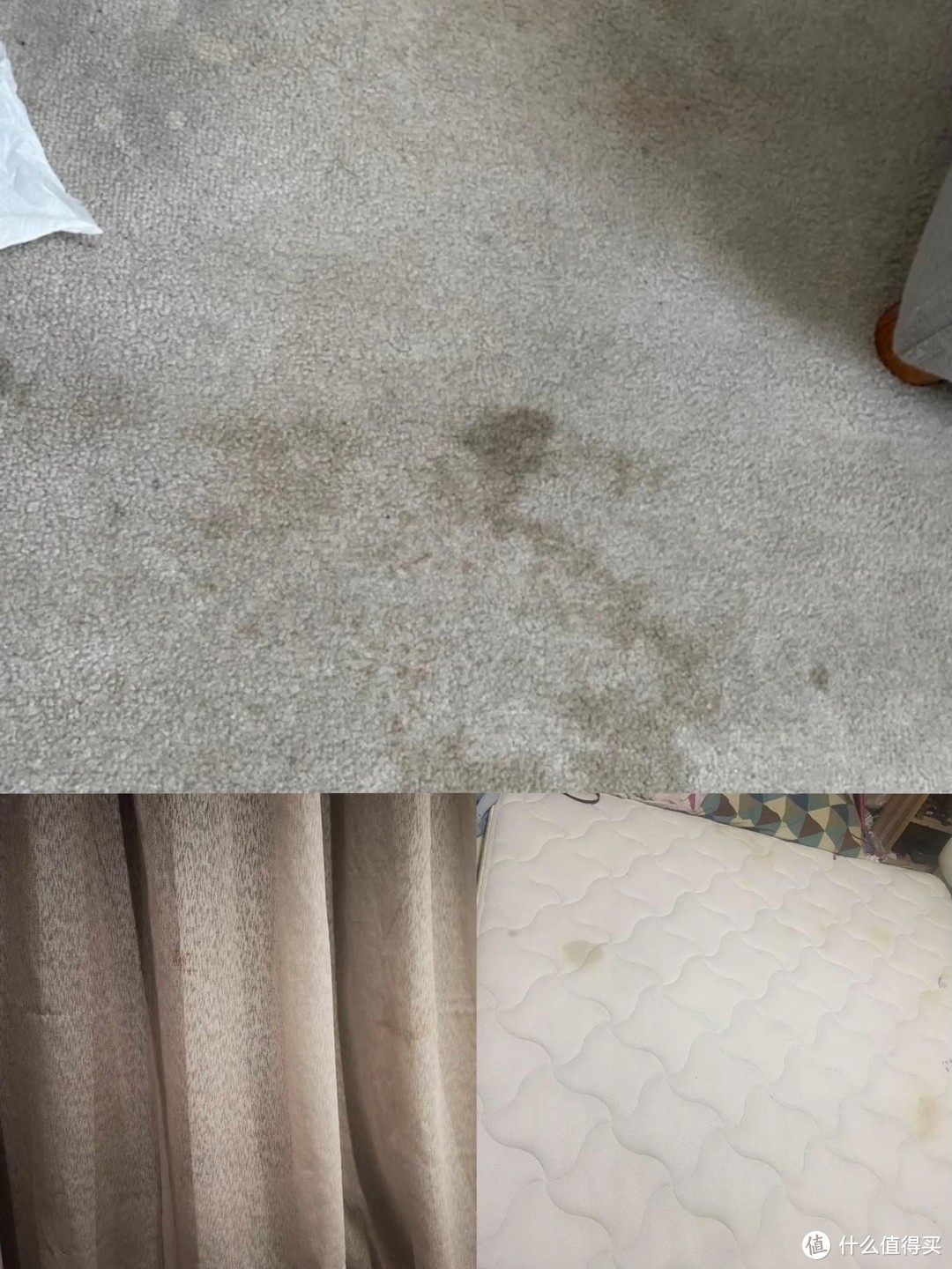 2024年布艺清洗机推荐，布艺清洗机是智商税吗？东菱、必胜、uwant哪个牌子好？3款布艺清洗机深度实测