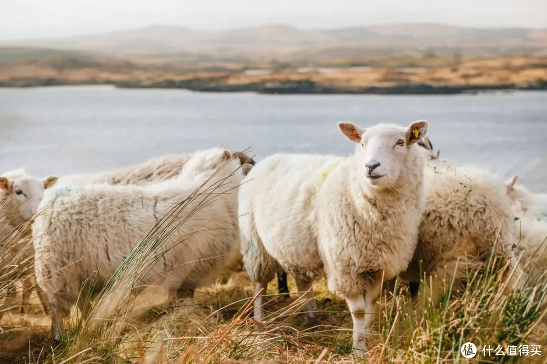 寒冬将至，双十一买衣服选哪种材质最保暖？看完直接抄作业！